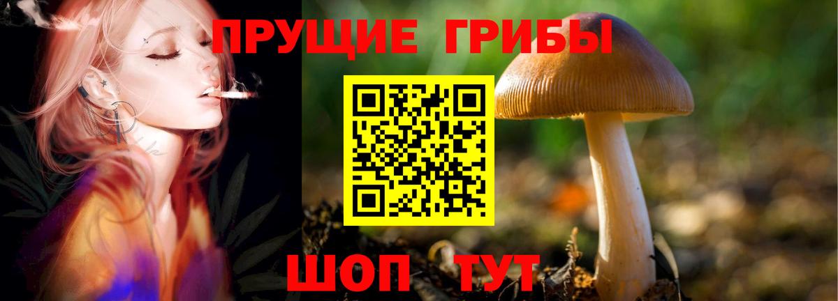 Домодедово  Галлюциногенные грибы мицелий  Галлюциногенные грибы ЛСД  Вход с VPN 